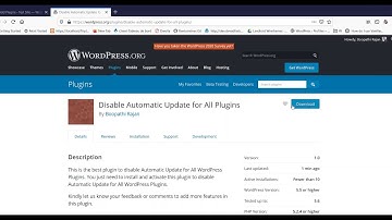 Disable automatic update for all WordPress plugins by using plugin