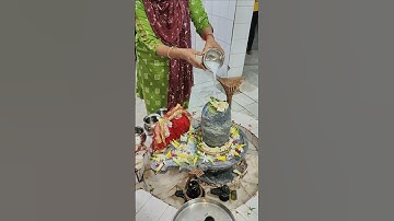 शिवलिंग पर धतूरे का फूल चढ़ाने का सही तरीका #upay #pradeepmishra #shorts #shortvideo #shiv #shiva