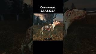 Слепой пес. Монстры из игры STALKER #shadowofchernobyl #stalker2 #мутанты #монстры