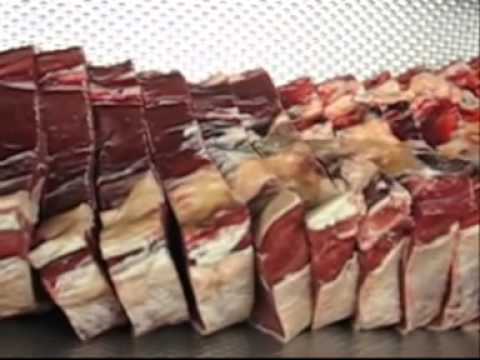 puma meat slicer