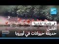 رحلة عبر حدائق الحيوان باراديزا البلجيكية تنال لقب أفضل حديقة حيوانات في أوروبا