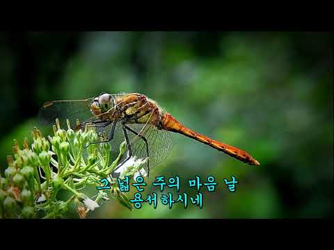 새찬송가 253 그 자비하신 주님