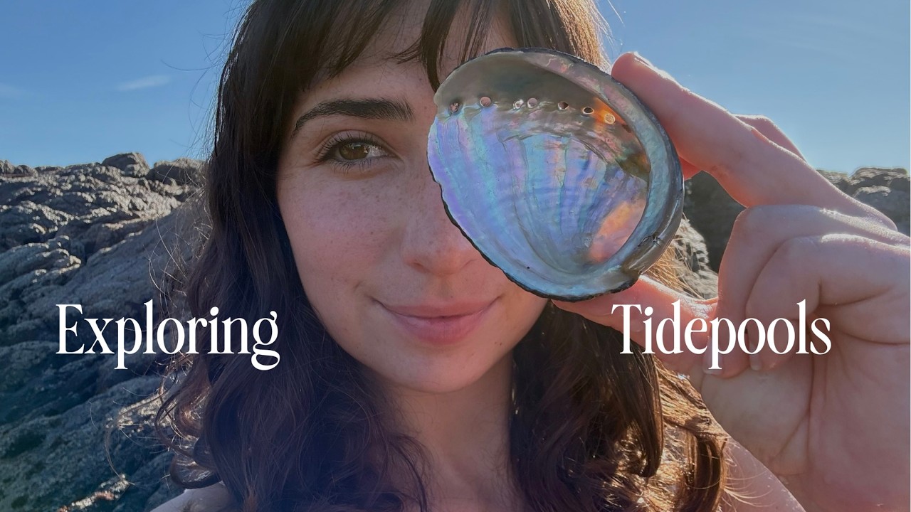 Snorkeling the Intertidal: Sea Stars, Octopus & Sea Slugs