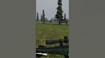 American marksman gameplay duck hunting