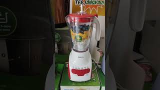 BLENDER PHILIPS MODEL BARU