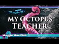 BEST Horror Movie Ever! -- My Octopus Teacher