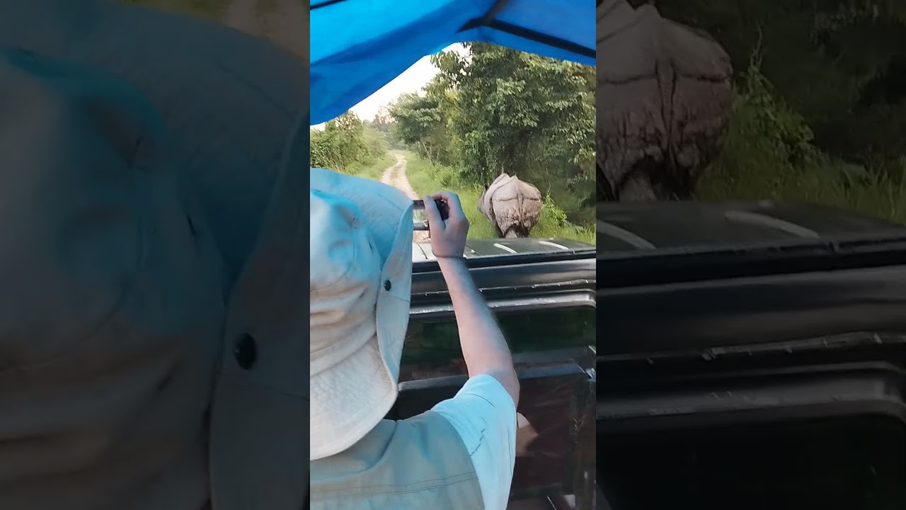 Jeep Safari in Chitwan Nepal 