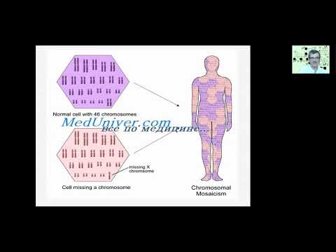 Медицинская генетика Основы медицинской генетики Часть 2