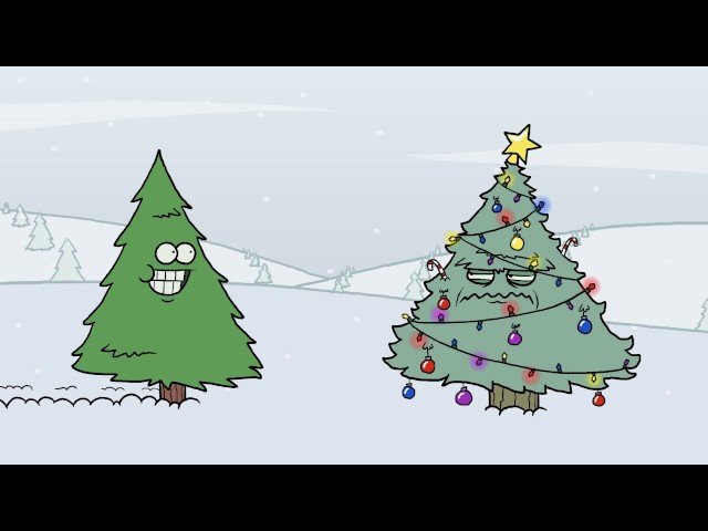 Christmas Tree :  Do you like my decorations?