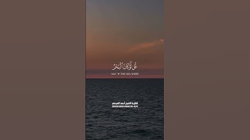 القارئ الشيخ || أحمد العجمي || كانت لهم جنات الفردوس نزلا || #quran #ستوري  #اكسبلور #تلاوات_ندية