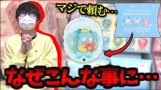 【悲劇】ハンギョドンが欲しかっただけなのに…【サンリオカスタムアクリルチャーム】