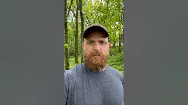 What do y’all think?