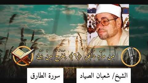 الشيخ شعبان الصياد سورة الطارق