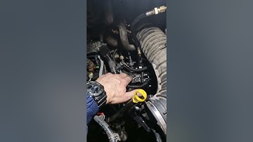 Ford Transit нет давления в топливной рампе. ДВС не запускается.