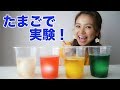 【実験】夏休みの自由研究！カラフルなスケルトン卵を作ろう！【友加里】