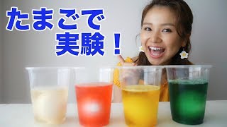 【実験】夏休みの自由研究！カラフルなスケルトン卵を作ろう！【友加里】