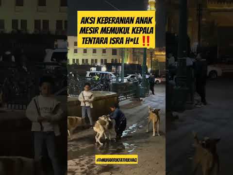 ضرب ابن مصري صغي ر رأس قمامة اسرائيلي   اكسبلور