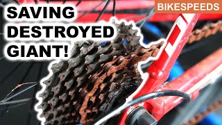 Giant Defy Road Bike Full Service Rebuild Restoration!