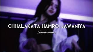 Chhalakata Hamro Jawaniya (slowed reverb) | Bhojpuri song| Chandan Vibxz