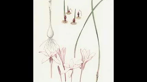 Sandra Dodson on Leigh Voigt | #60SecondArt