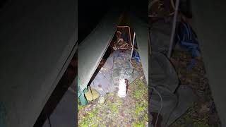 In the deep dark woods in my hot tent #wiltshireman #camping #adventure