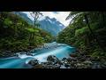 Deep Relaxation Nature Audio 🍃 | Forest Stream and Singing Birds for Meditation