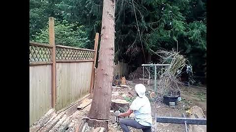 Eager Beaver Tree Service in Bellingham, WA