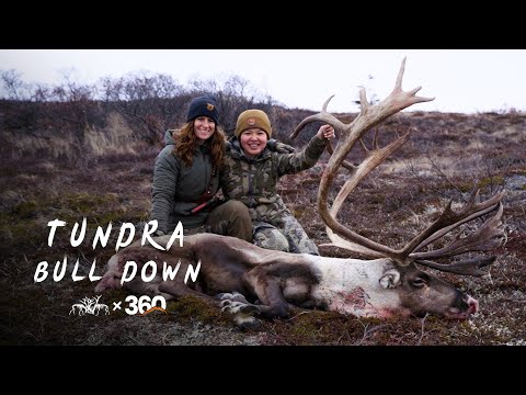 THE WANDERER | Youth Caribou Hunt - Stuck N The Rut 221