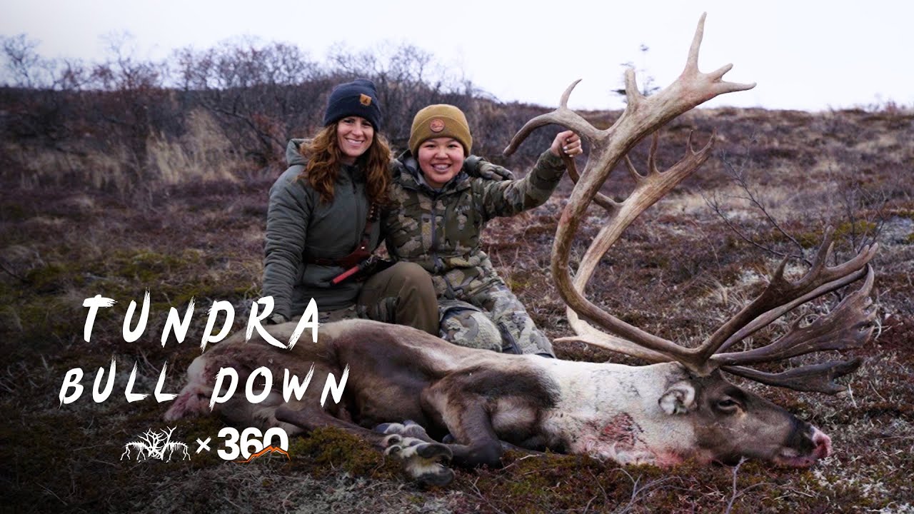 THE WANDERER | My Daughter Shoots Big Caribou - Stuck N The Rut 221