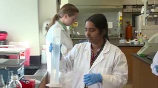 Cardiovascular Research at UCF College of Medicine