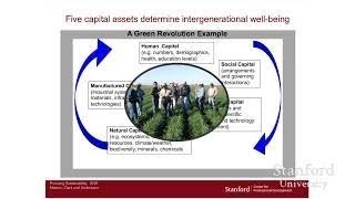 Stanford Webinar: How to Build a Sustainable Organization - The Best Documentary Ever