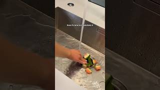 Famous Answering your questions about the #InSinkErator food waste disposer👀 #kitchenappliances #shorts Profile