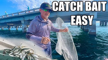 How To Catch Bait In Tampa Bay Without A Cast Net: The Bally Hoop Net!