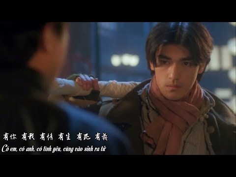 [Vietsub] Những Tháng Ngày Bên Nhau (一起走過的日子) | Andy Lưu Đức Hoa | Video FM Kim Thành Vũ