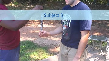 Reaction Time Lab Physics