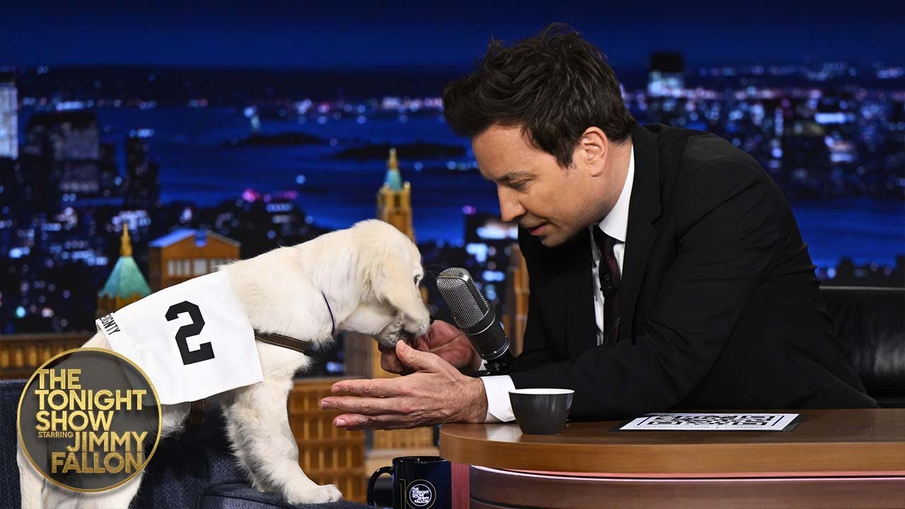 Jimmy Highlights Kentucky Derby Favorite Sovereignty with Puppies in Partnership with Ford