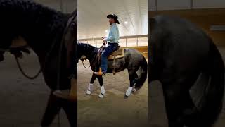 Stop a Horse From Tripping | The Counterintuitive Way
