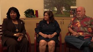 DCFS: Its Formation and Challenges - A Panel Discussion