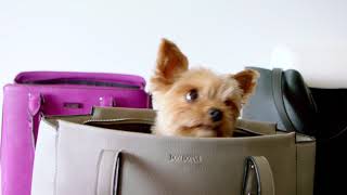 FOR PEOPLE ON THE MOVE - MORRIS