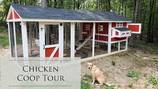 chicken coop proof predator