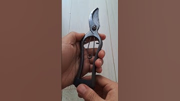 MÃ K3 - KÉO CẮT CÀNH ĐÚC Chuẩn Nhật 420k bao ship #đồnhậtbãi #kéonhậtbãi #kéonhật #keocatcanh