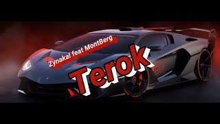 Zynakal - 'Terok' feat MontBerg(lyric)