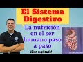 Sistema digestivo nutricion en el hombre