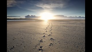 Genesis 18-22 Torah Portion Vayera