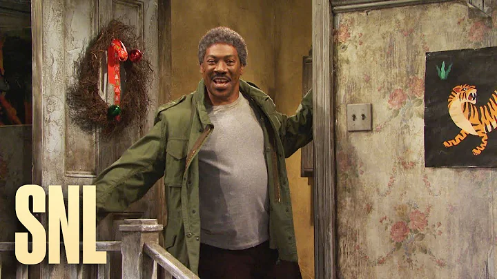 Mr. Robinsons Neighborhood 2019 - SNL