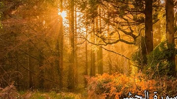 ((Sourate Al-Hashr))سورة الحشر من الذكر الحكيم سبحان الله على نعمة القرآن الكريم