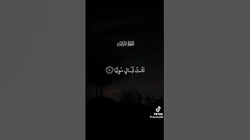 سوره مريم كامله بصوت القارئ سعود الفايز خشوع لحظات من الخشوع والتامل/ نور يملأ القلب والروح