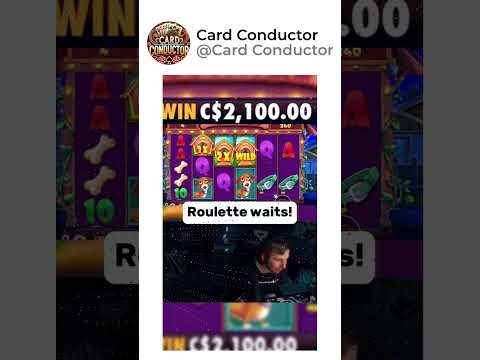 Discover the Best Live Casino Providers for English-Speaking Players in the USA