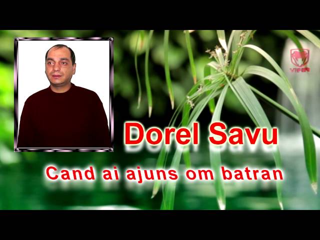Dorel Savu - Cand ai ajuns om batran class=