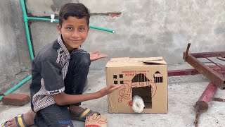 New House For Chick / Dawood Sabir Vlogs